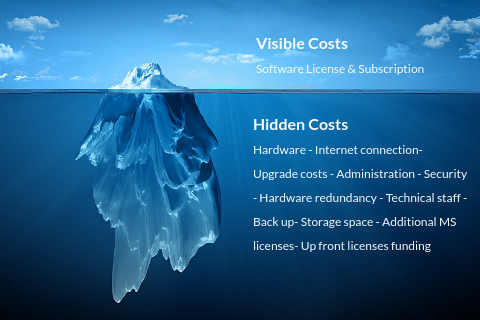 Software licensing cost iceberg