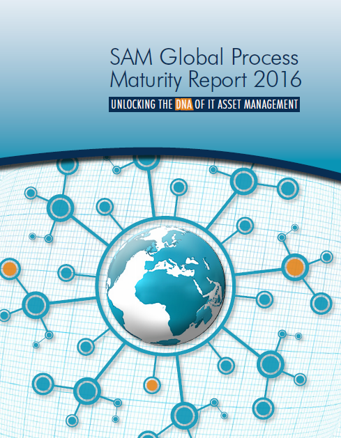 SAM Global Process Maturity Report