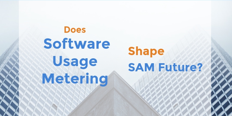 Does software usage shape SAM?